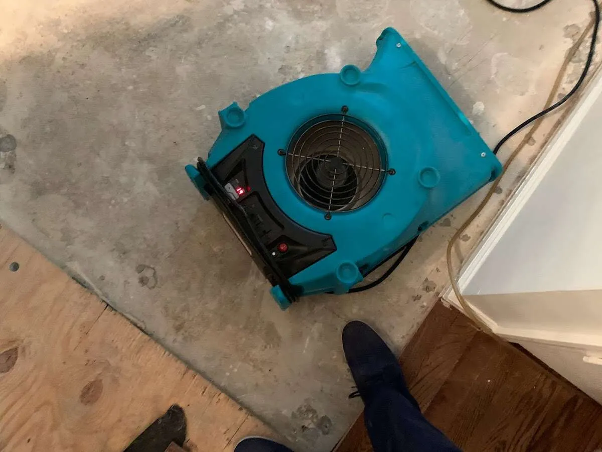 Air mover drying subfloor during Commercial Water Damage Restoration in Festus