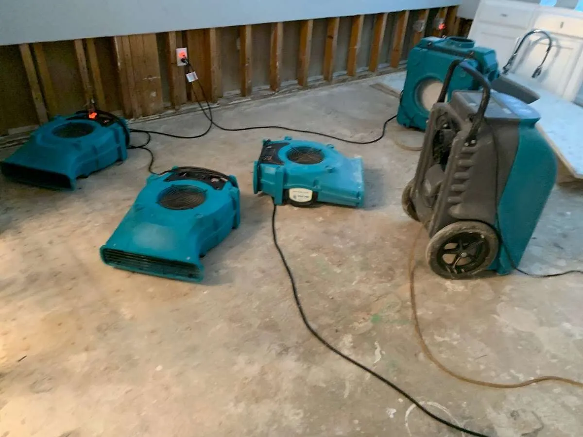 Water Damage Restoration services in Festus, MO